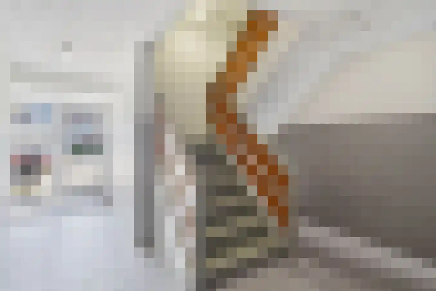 Spaaklaan 31 Utrecht thumbnail 30