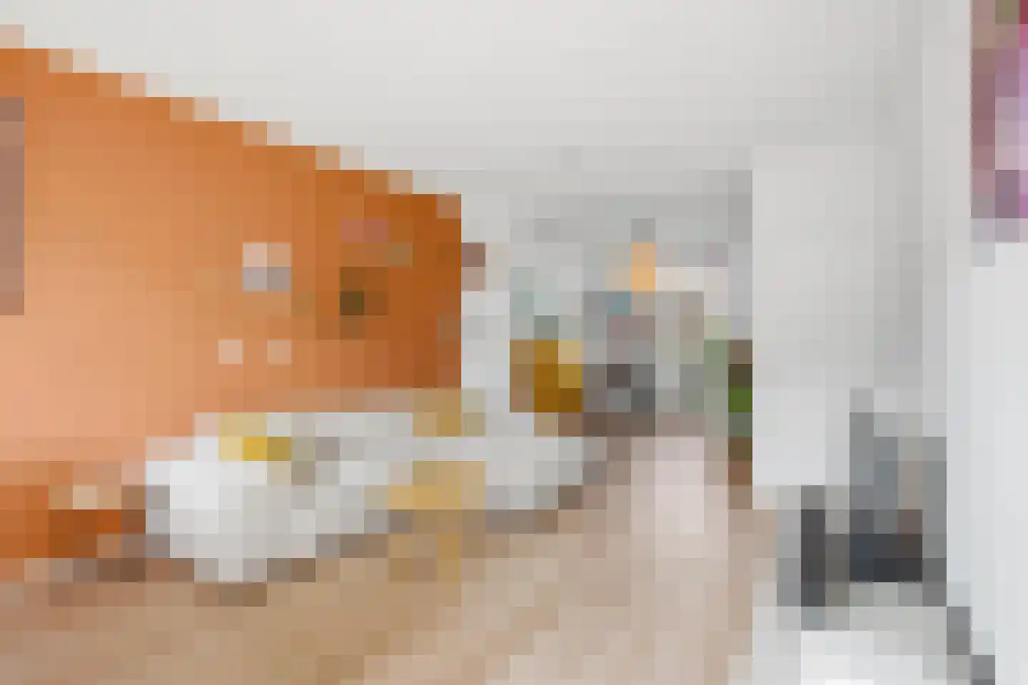 Spaaklaan 31 Utrecht thumbnail 6