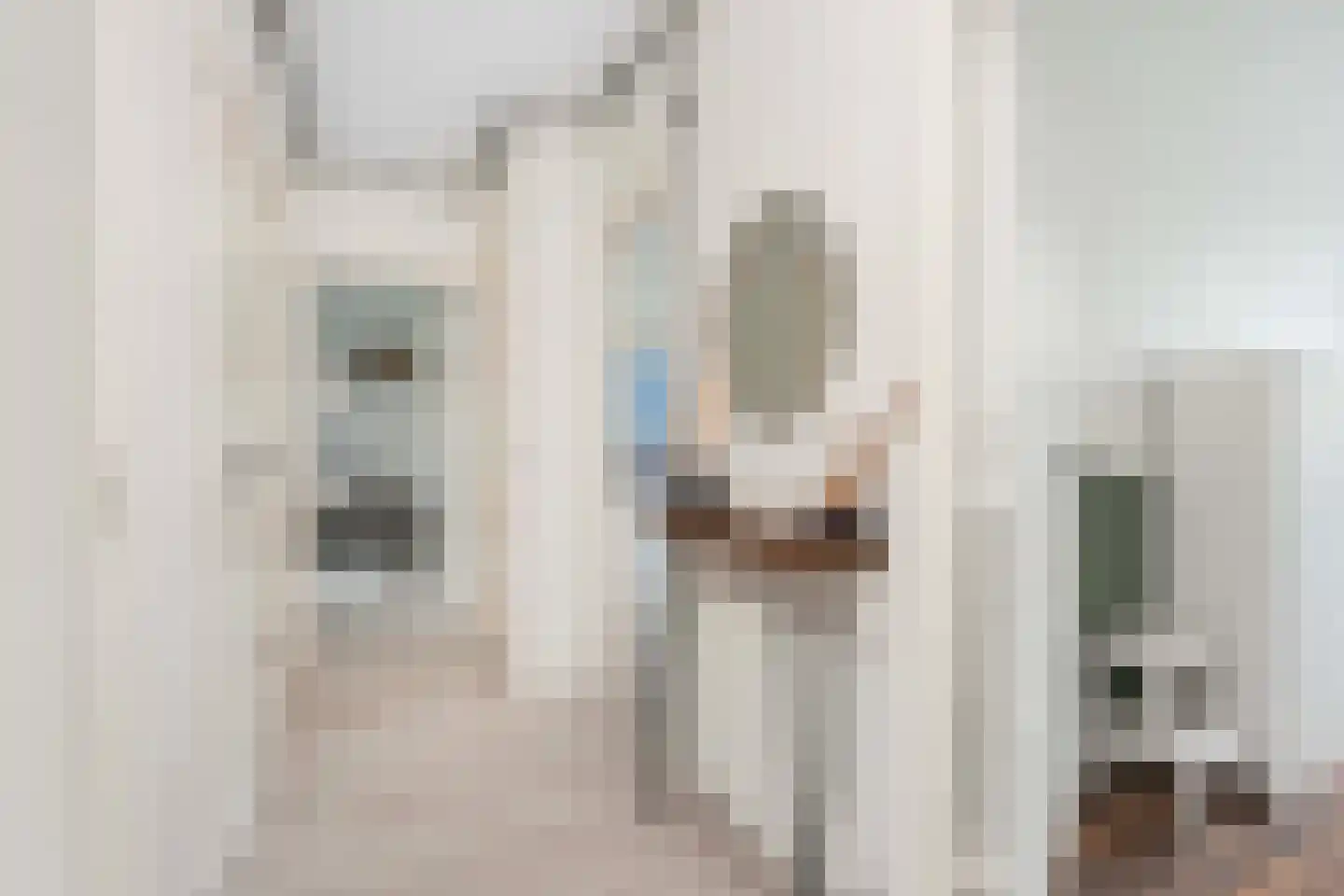 Spaaklaan 35 Utrecht thumbnail 11