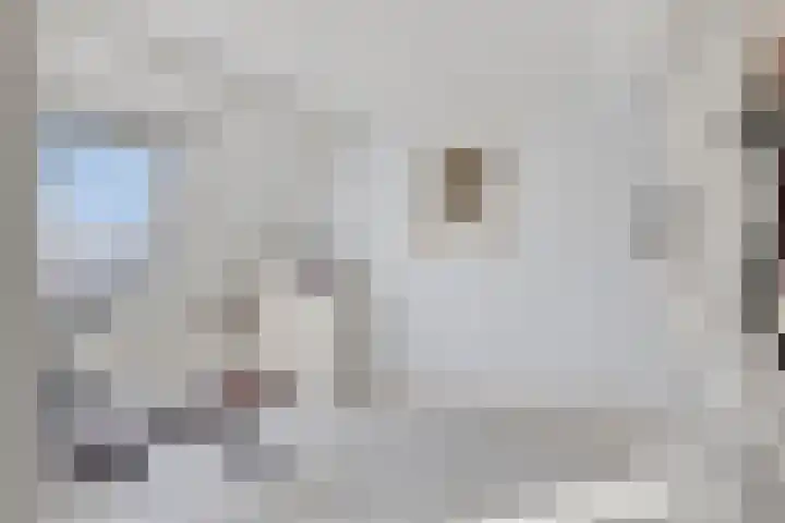 Spaaklaan 36 Vlijmen thumbnail 24
