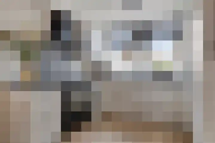 Spaaklaan 36 Vlijmen foto 3