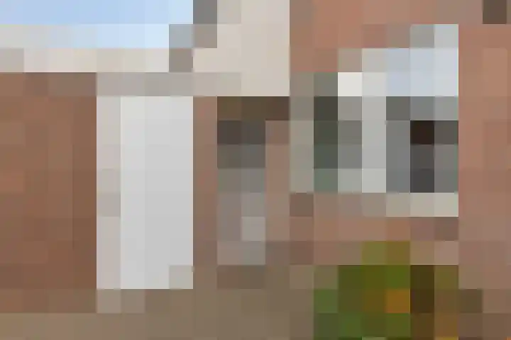Spaaklaan 36 Vlijmen thumbnail 5