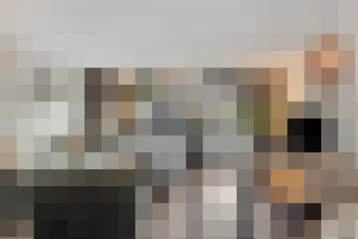 Spaaklaan 36 Vlijmen thumbnail 8
