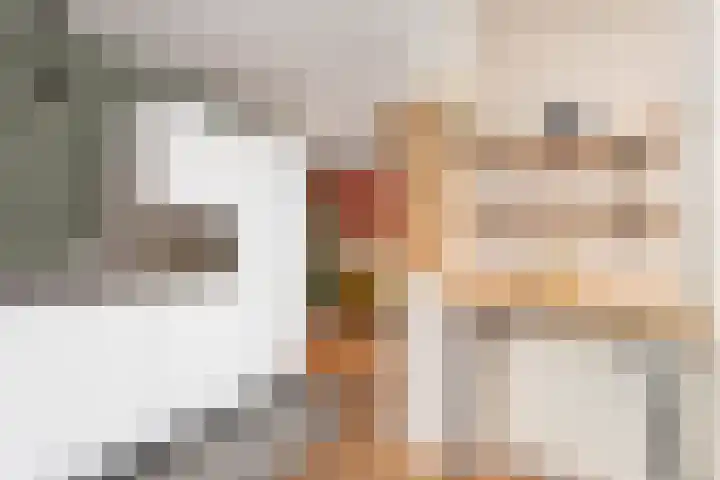 Spaaklaan 37 Utrecht thumbnail 10