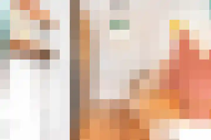 Spaaklaan 37 Utrecht thumbnail 19