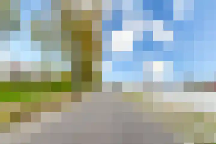 Spaaklaan 37 Utrecht thumbnail 28