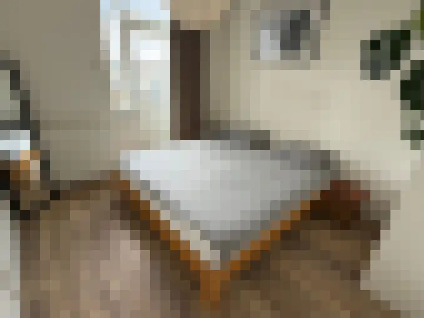 Spaaklaan 41 Utrecht thumbnail 11
