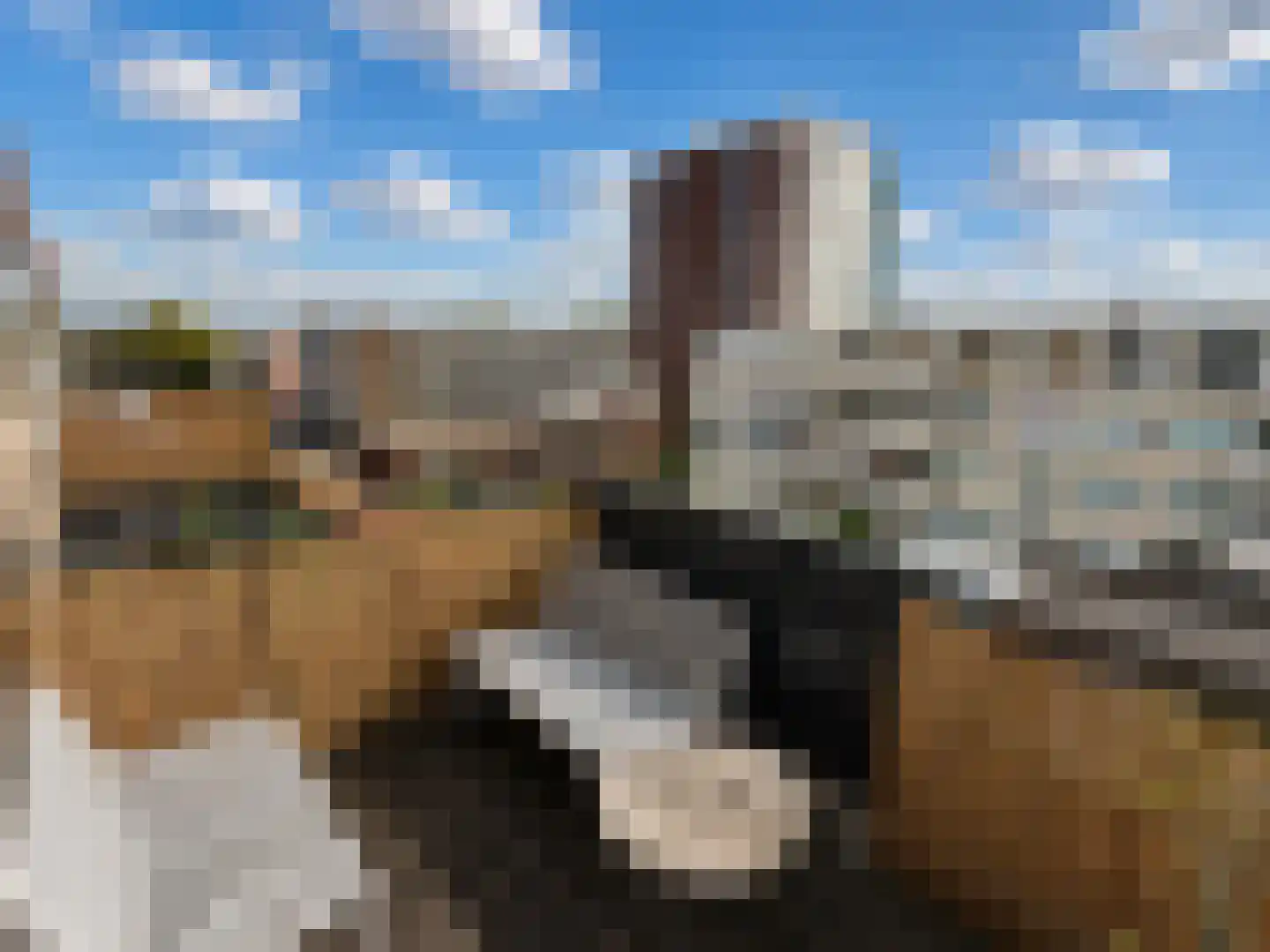 Spaaklaan 41 Utrecht thumbnail 12