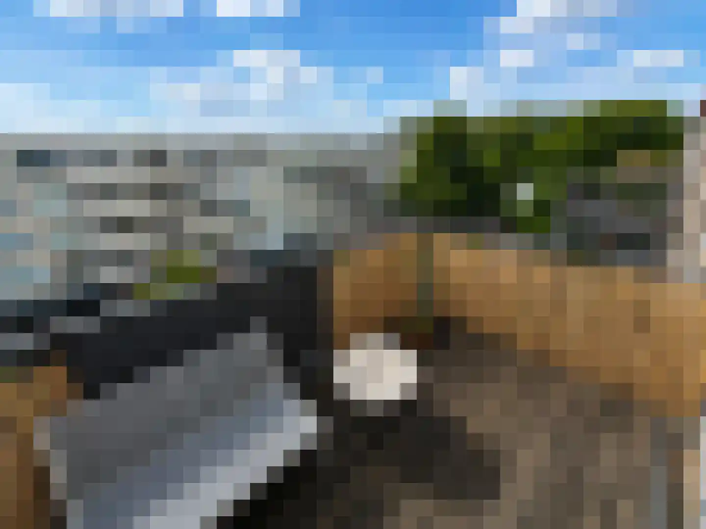 Spaaklaan 41 Utrecht thumbnail 13