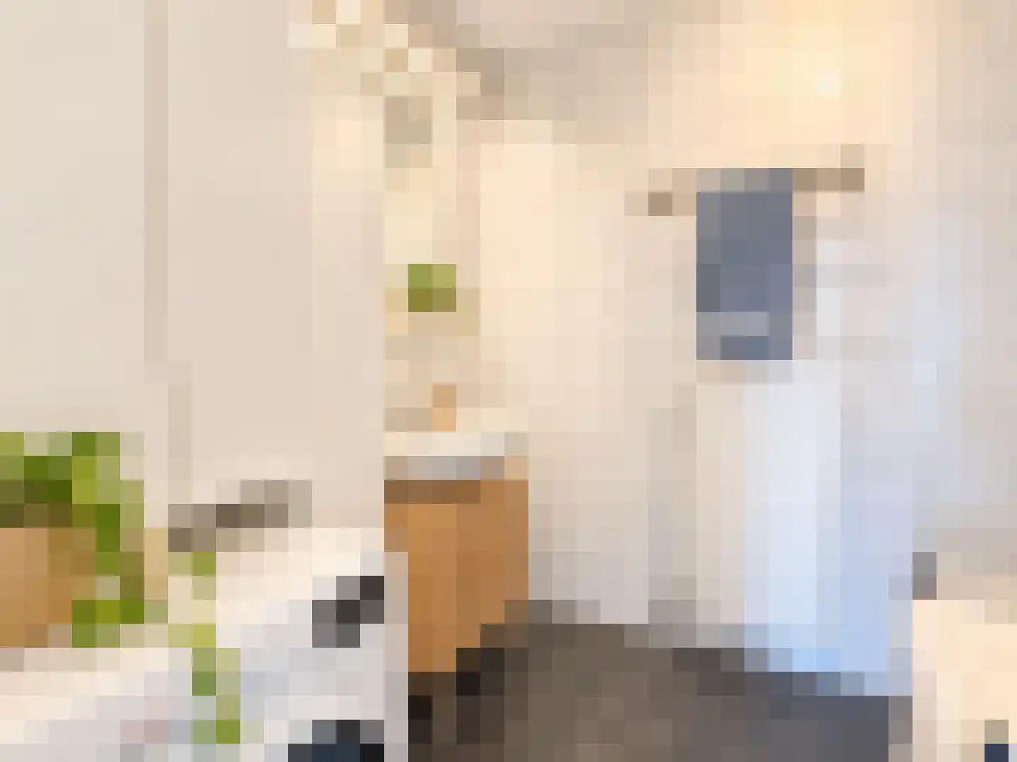 Spaaklaan 41 Utrecht thumbnail 16