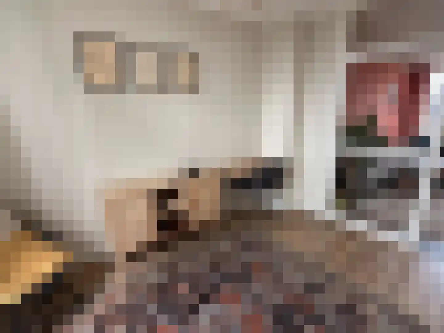 Spaaklaan 41 Utrecht thumbnail 6