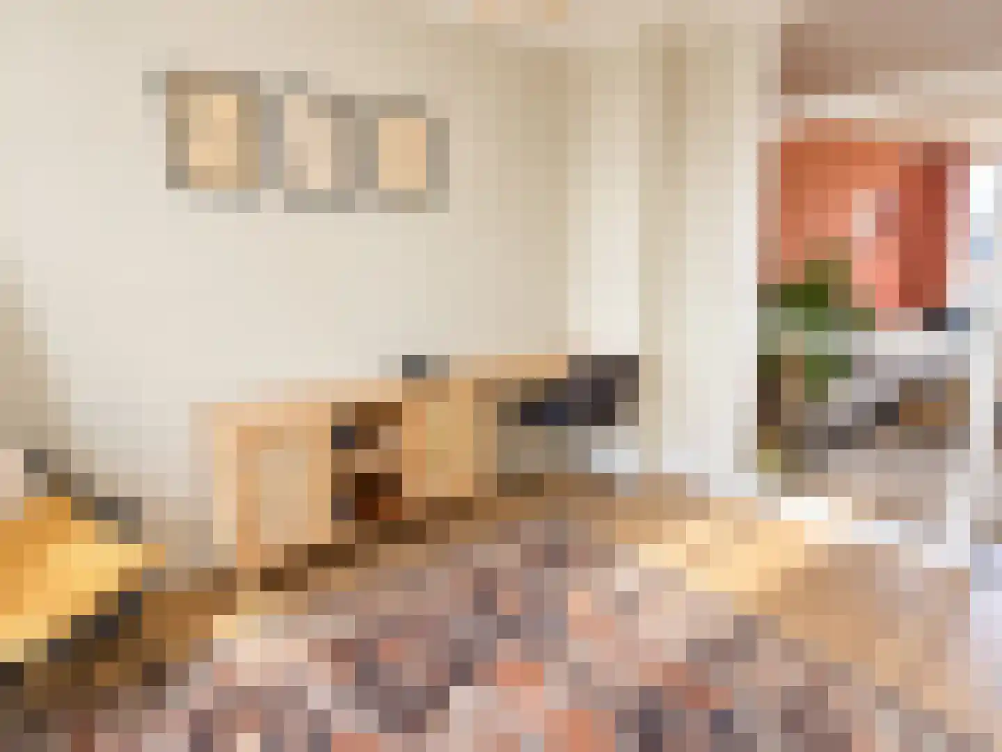 Spaaklaan 41 Utrecht thumbnail 7