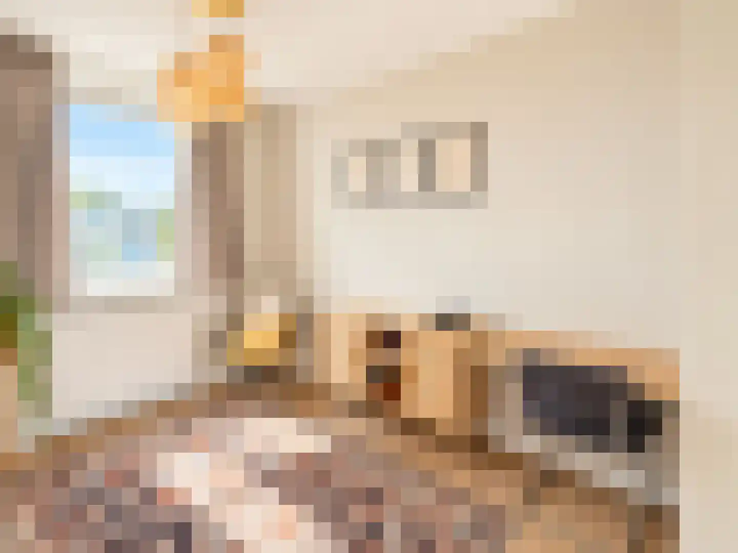 Spaaklaan 41 Utrecht thumbnail 8