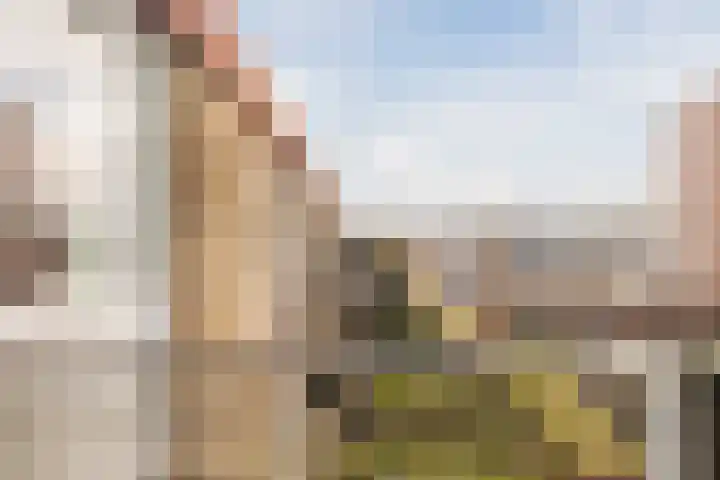 Spaaklaan 43 Utrecht thumbnail 29