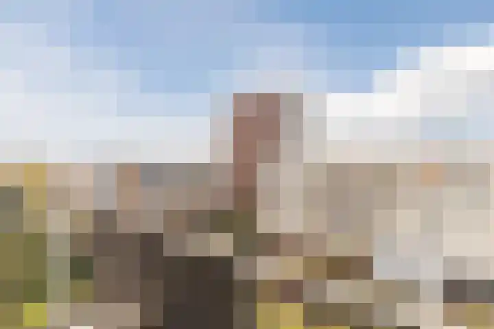 Spaaklaan 43 Utrecht thumbnail 30