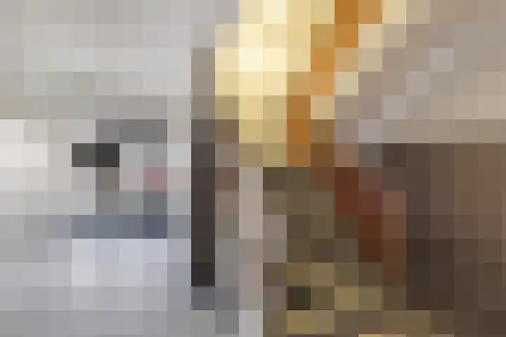 Spaaklaan 43 Utrecht thumbnail 33