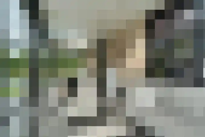 Spaaklaan 55 Woerden thumbnail 23