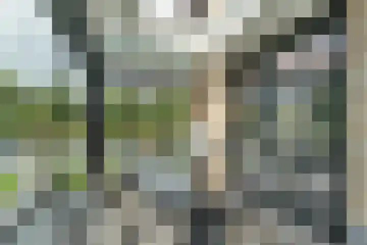 Spaaklaan 55 Woerden thumbnail 24