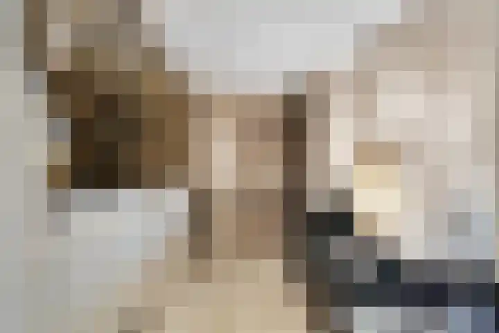 Spaaklaan 55 Woerden thumbnail 26
