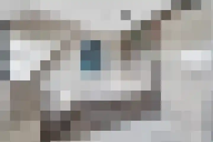 Spaaklaan 55 Woerden thumbnail 30