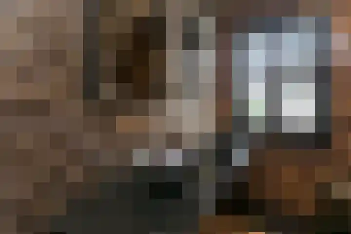 Spaaklaan 55 Woerden thumbnail 39