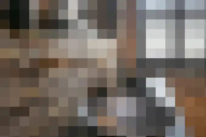 Spaaklaan 55 Woerden thumbnail 40