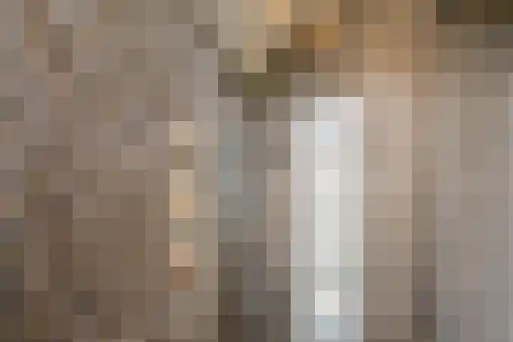 Spaaklaan 55 Woerden thumbnail 41