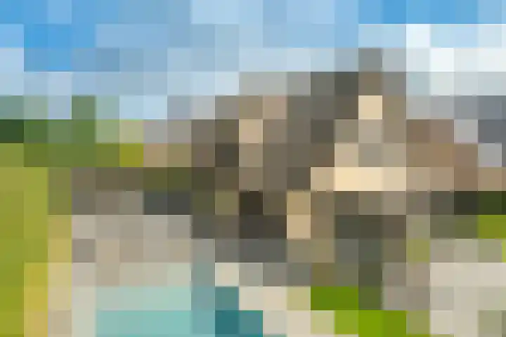 Spaaklaan 55 Woerden thumbnail 43