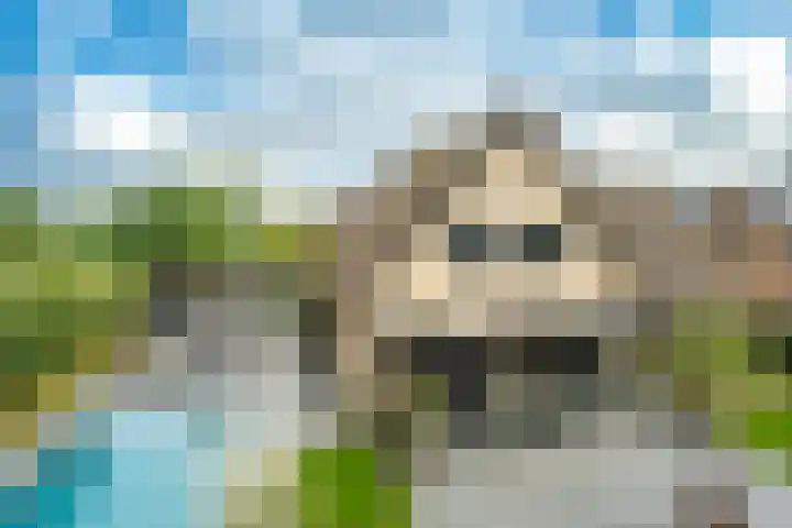 Spaaklaan 55 Woerden thumbnail 46
