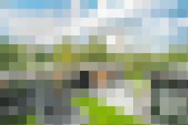Spaaklaan 55 Woerden thumbnail 49