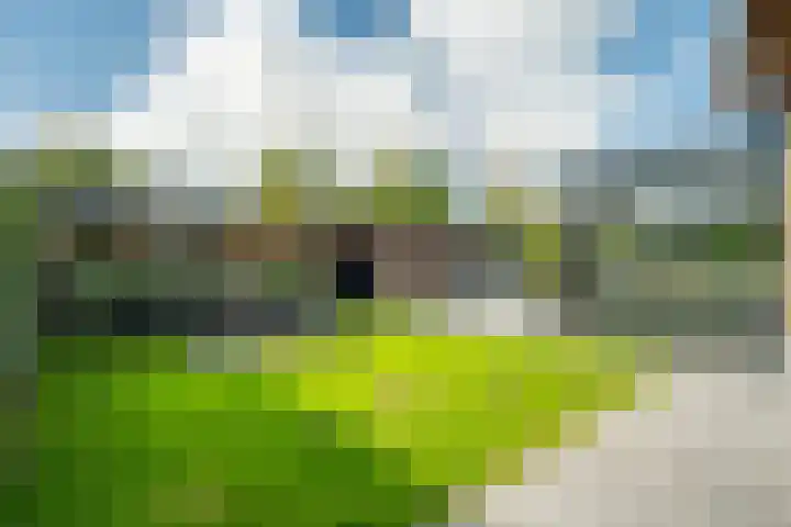 Spaaklaan 55 Woerden thumbnail 51