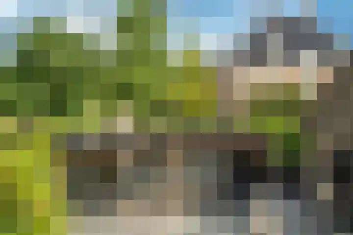 Spaaklaan 55 Woerden thumbnail 52