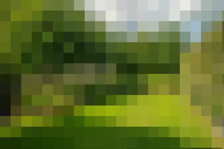 Spaaklaan 55 Woerden thumbnail 53