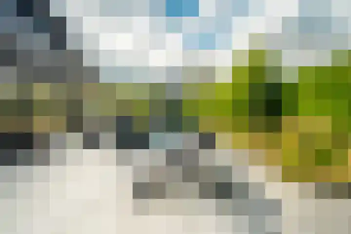 Spaaklaan 55 Woerden thumbnail 60