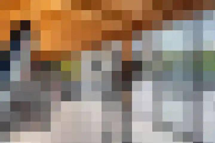 Spaaklaan 55 Woerden thumbnail 62