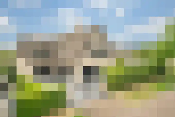 Spaaklaan 55 Woerden thumbnail 63
