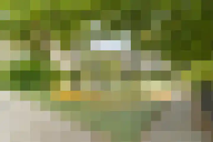 Spaaklaan 79 Utrecht thumbnail 31