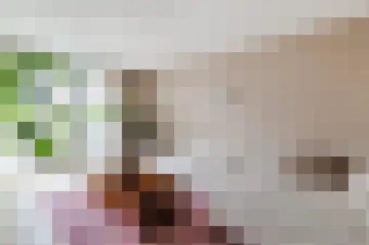 Spaaklaan 79 Utrecht thumbnail 7