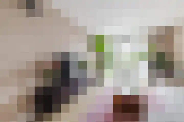 Spaaklaan 79 Utrecht thumbnail 8