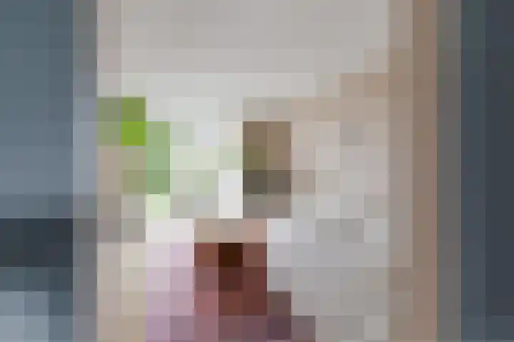 Spaaklaan 79 Utrecht thumbnail 9