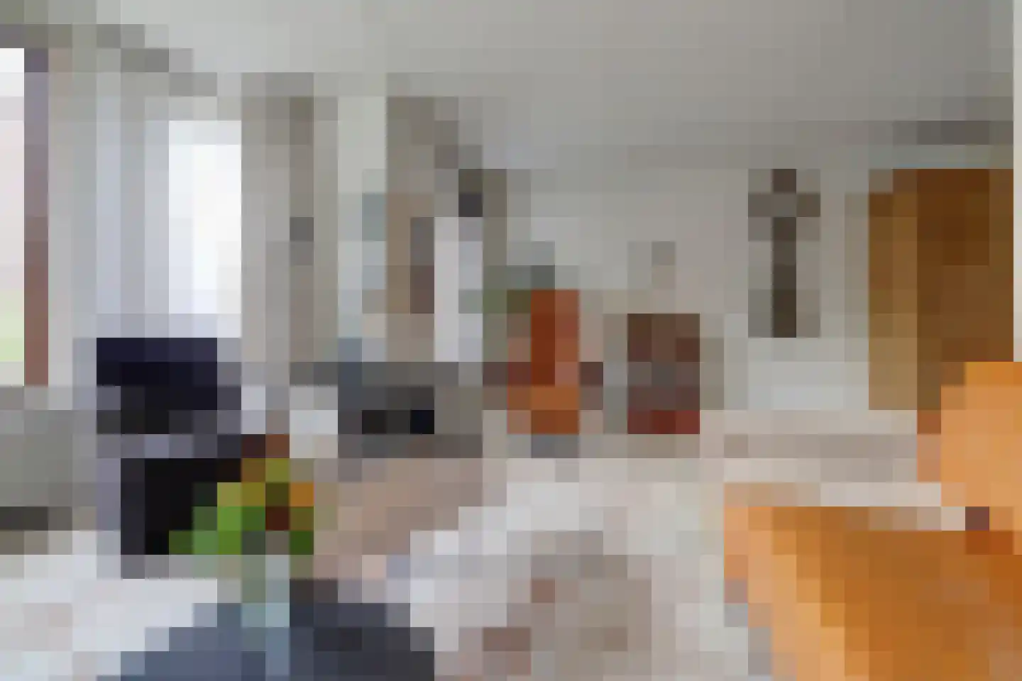 Spaaklaan 8 Vlijmen thumbnail 16