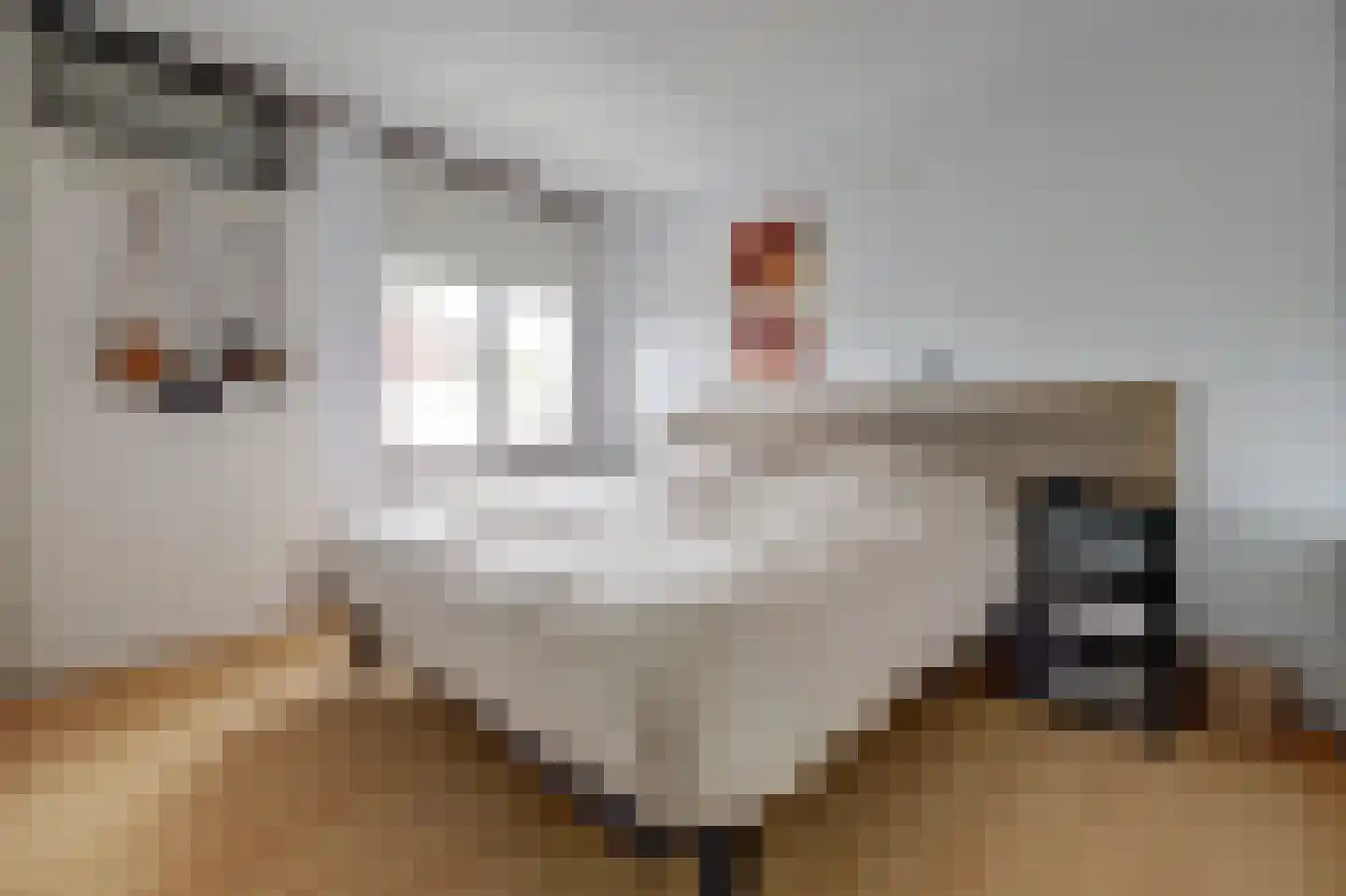 Spaaklaan 8 Vlijmen thumbnail 21