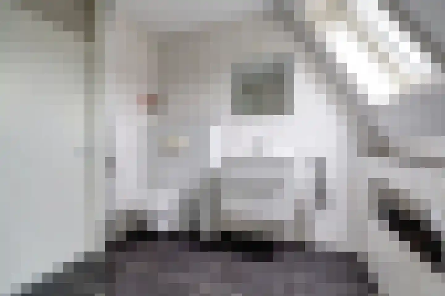 Spaaklaan 8 Vlijmen thumbnail 24