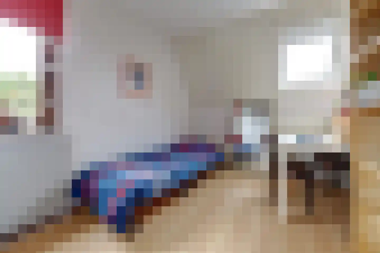 Spaaklaan 8 Vlijmen thumbnail 27