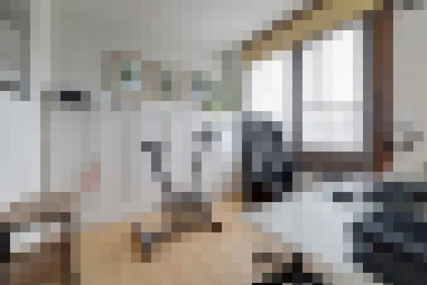 Spaaklaan 8 Vlijmen thumbnail 29