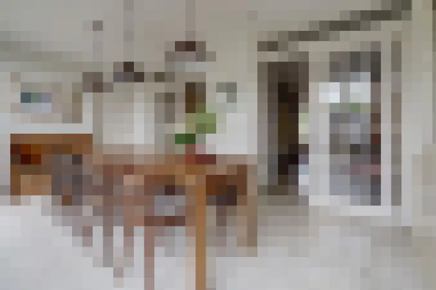 Spaaklaan 8 Vlijmen foto 3