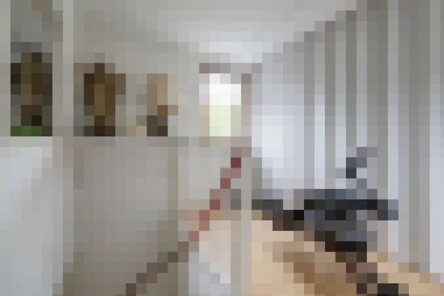Spaaklaan 8 Vlijmen thumbnail 34