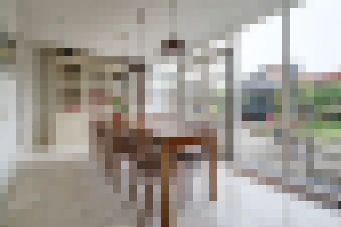 Spaaklaan 8 Vlijmen thumbnail 4