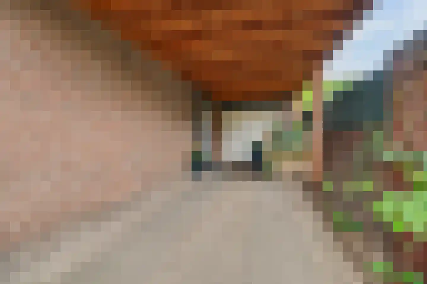 Spaaklaan 8 Vlijmen thumbnail 43