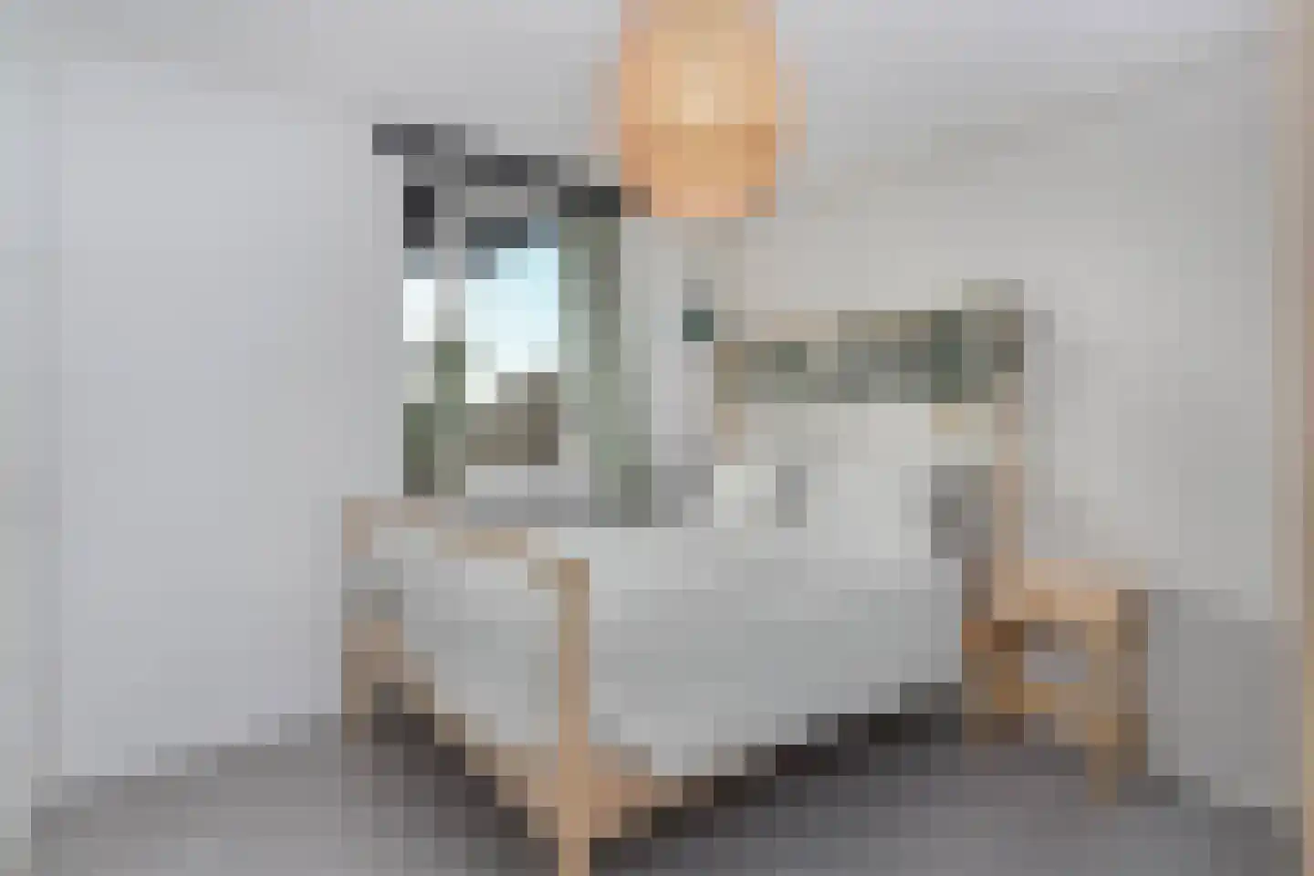 Spaaklaan 91 Utrecht thumbnail 17